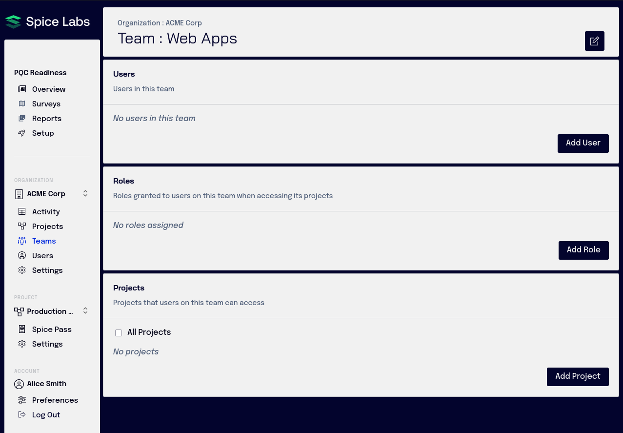 Team project access configuration