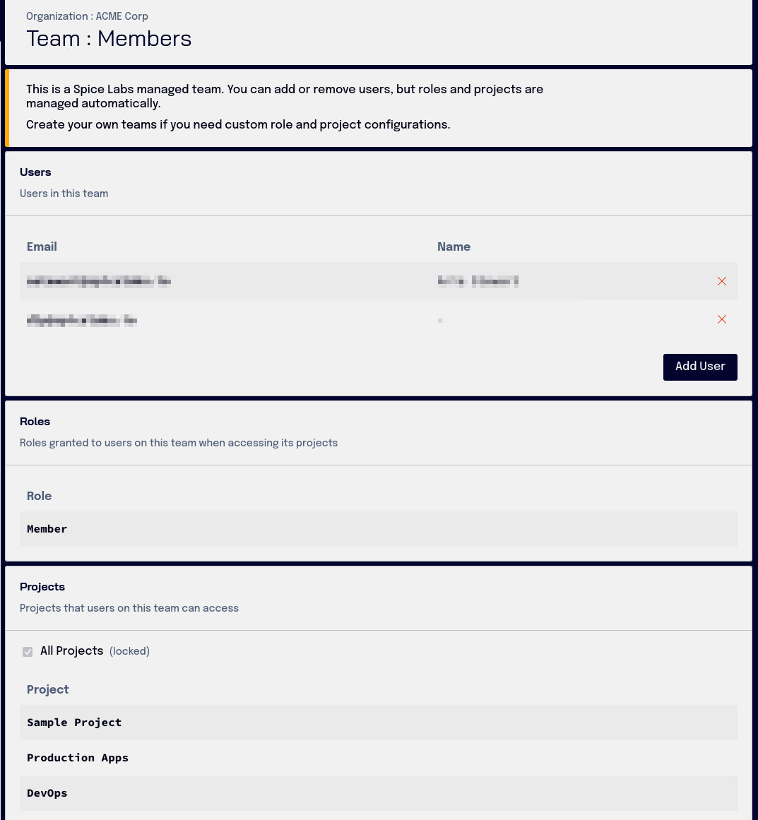 Team detail page showing members, roles, and projects